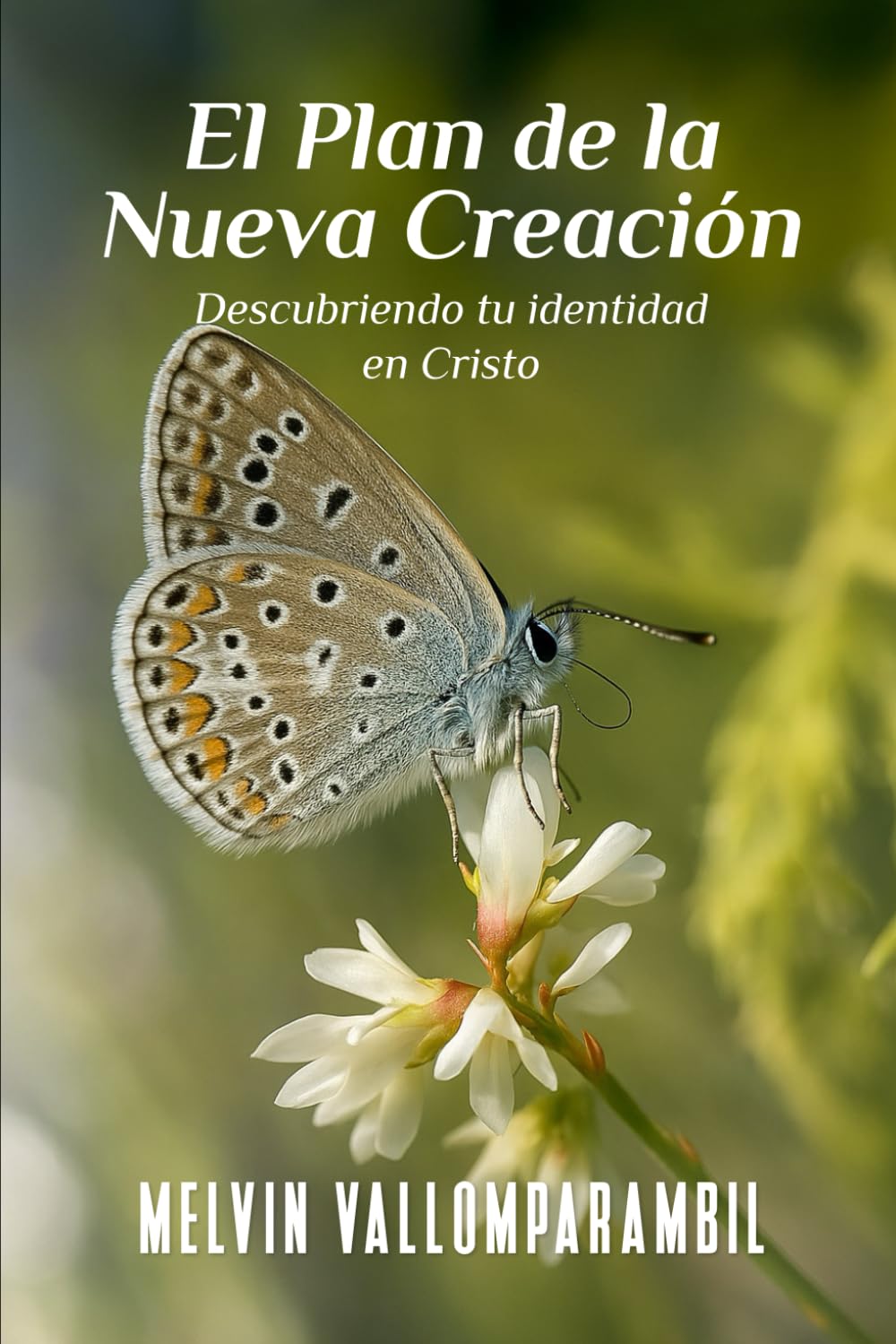 El Plan de la Nueva Creación: Descubriendo tu identidad en Cristo