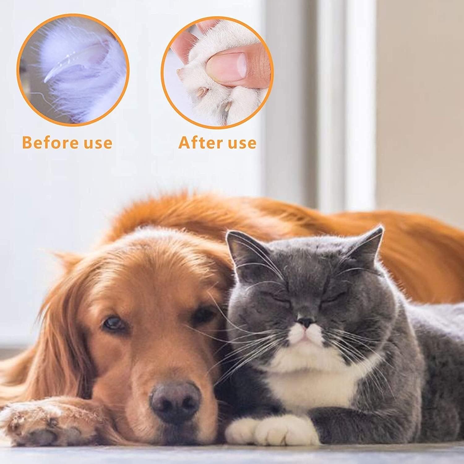 Pet Nail Clippers Professional Pet Nail Clippers and Trimmer - Best for Cats, Small Dogs and Any Small Pets. Sharp Angled Blade Pet Nail Trimmer Scissors. Dog Nail Clippers Cat Nail Clippers