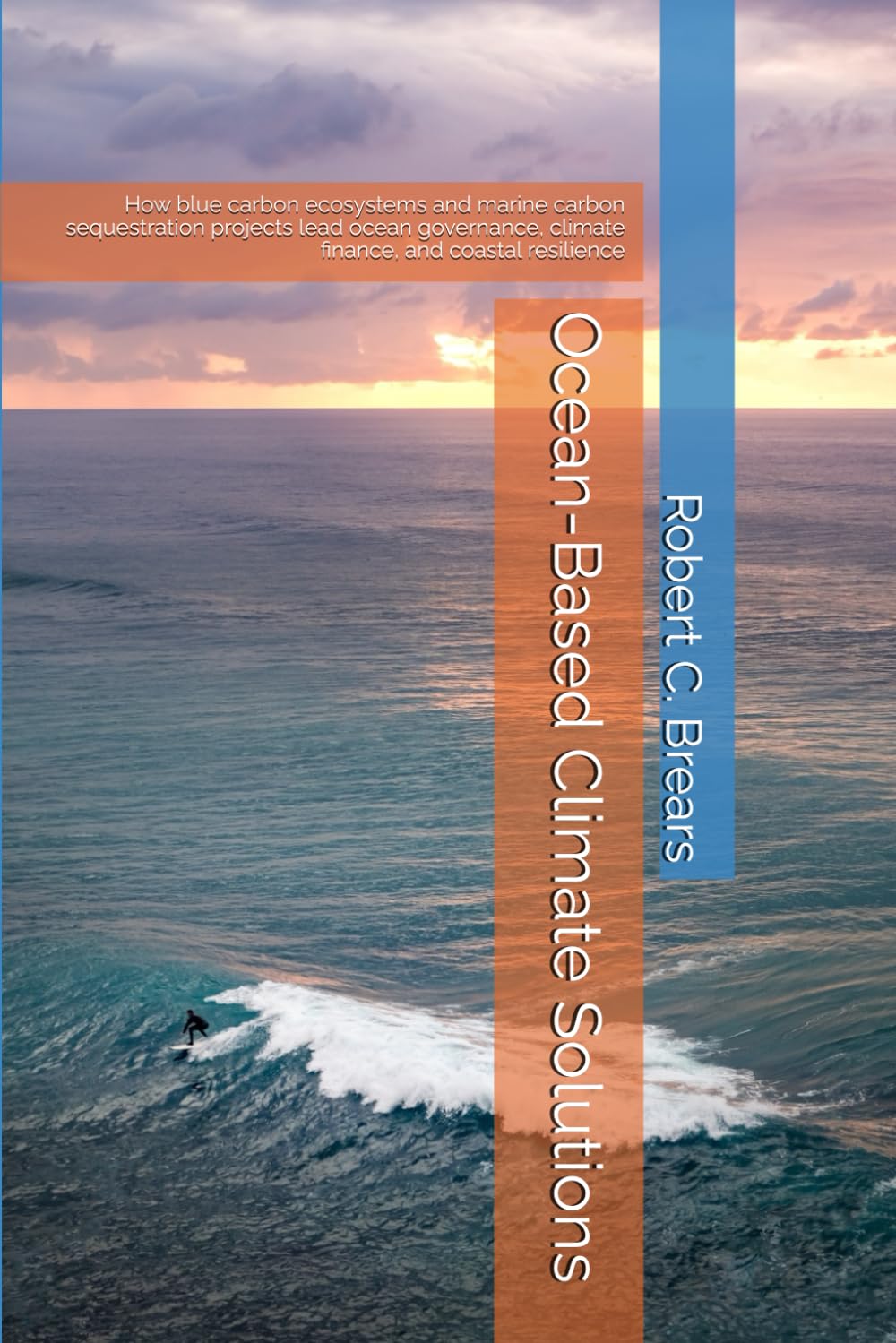 Ocean-Based Climate Solutions: How blue carbon ecosystems and marine carbon sequestration projects lead ocean governance, climate finance, and coastal resilience
