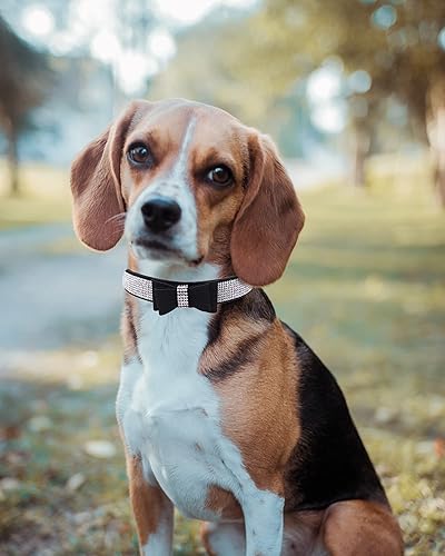 Miniatura 5 de Collar brillante para perros pequeños, medianos y grandes, collares de perro con corona de diamantes de imitación para perras y perros machos,