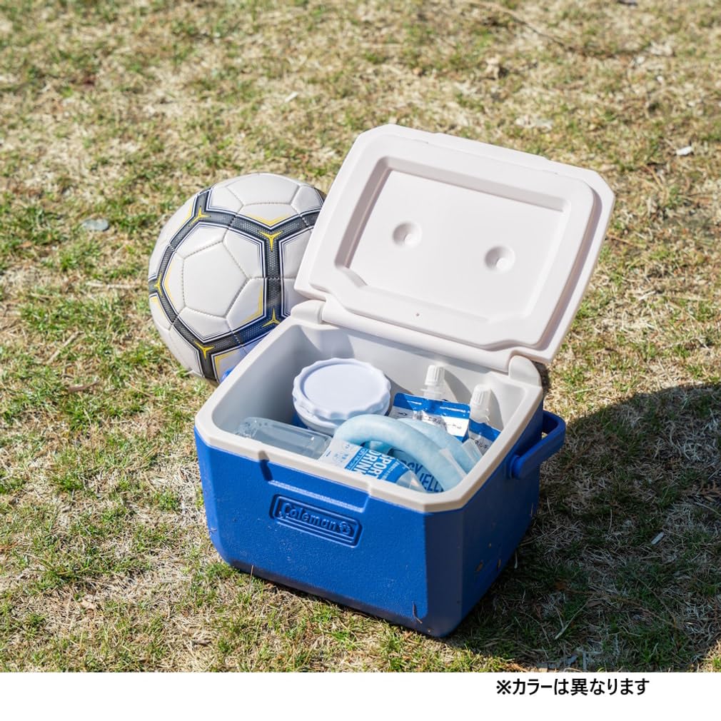 Amazon.co.jp: Coleman 2209460 Take 6 Camping Hard Cooler, Light