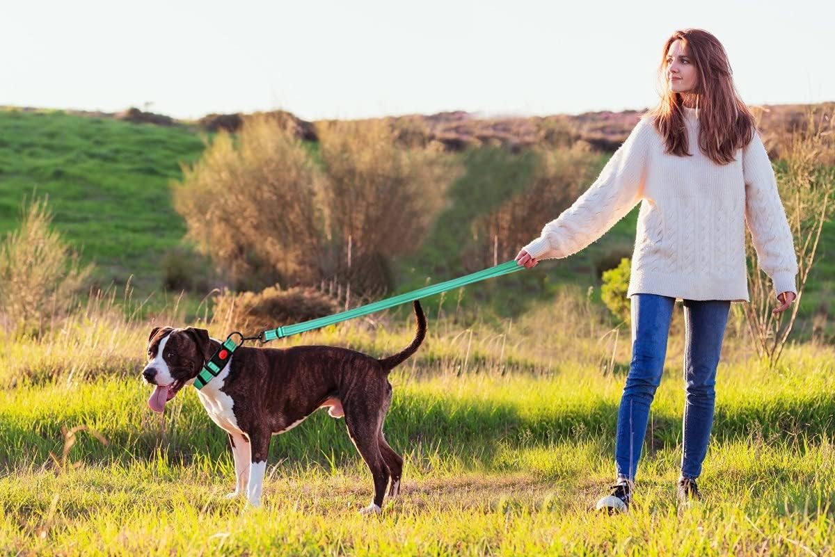 Reflective Dog Collar and Leash Set with Safety Locking Buckle Nylon Pet Collars Adjustable for Small Medium Large Dogs 3 Sizes(Mint Green&L)