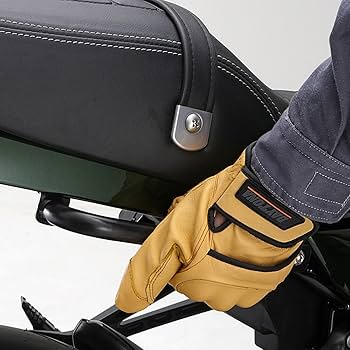 Amazon | デイトナ(Daytona) Z900RS(18-24)専用 タンデム