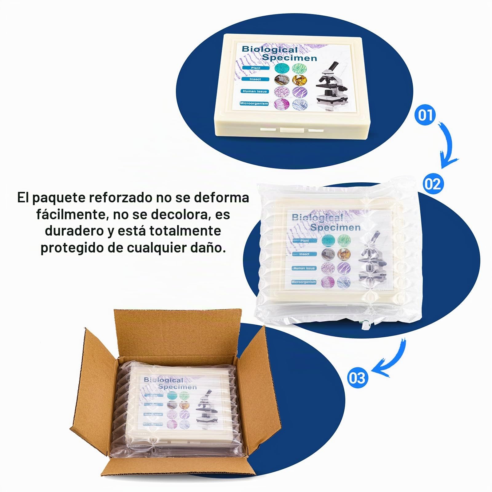 USCAMEL Muestras Microscopio, 100 portaobjetos de microscopio preparados con muestras para niños y Adultos