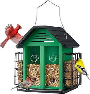Kingsyard Bird Feeder for Outside, Hanging Wild Birdfeeder with Double Suet Cages Cakes, 3 in 1 Mixed Seeds Feeder, Large ...