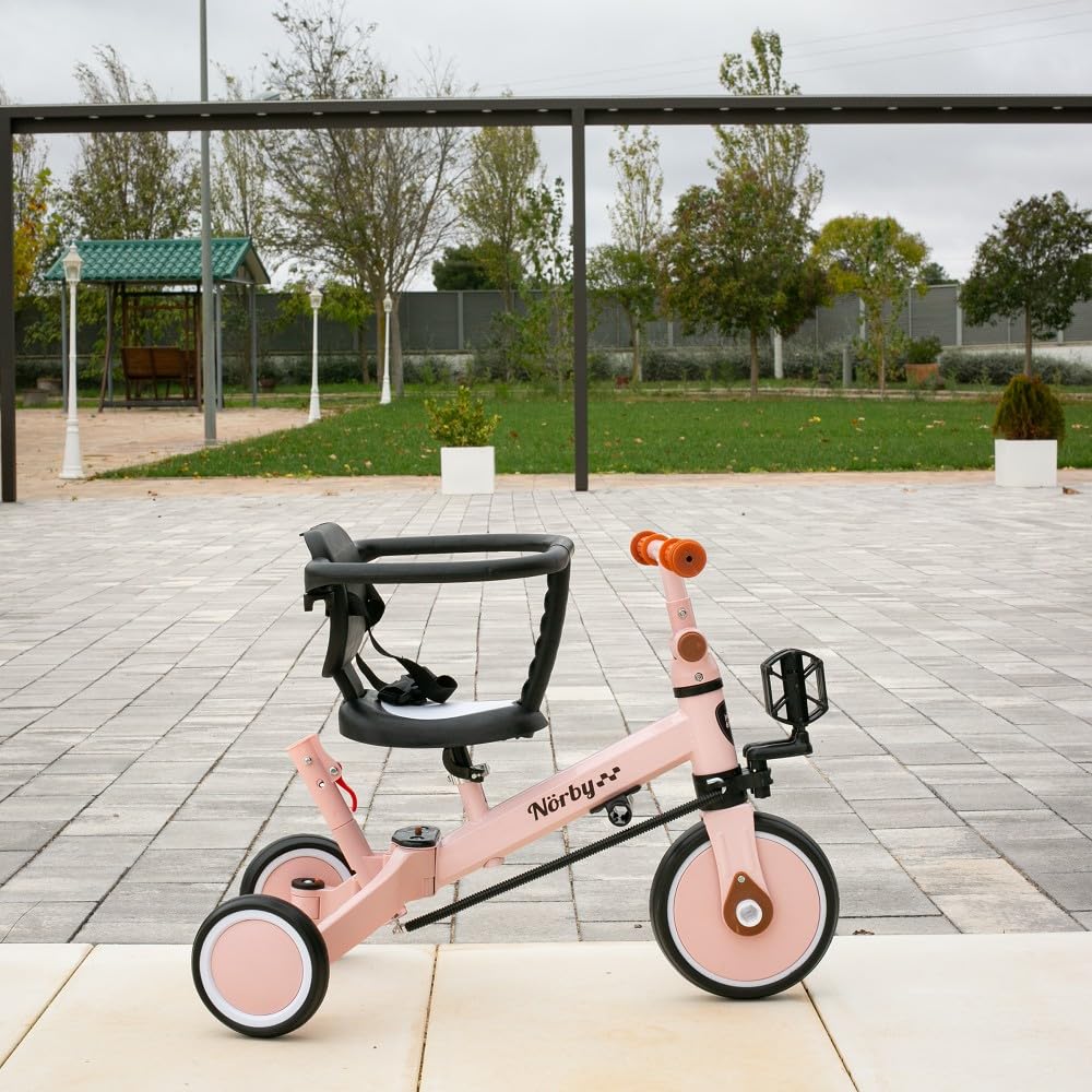 Interbaby - Triciclo "Norby" e Bici Evolutiva 5 in 1 con Capottina - 1-5 Anni