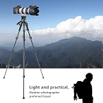 Neewer Portable Camera Tripod for Travel Vlogging, Professional Aluminum Heavy Duty Tripods with 3-Way Swivel Pan Head, Bag for DSLR Camera DV Video Camcorder Load up to 8.8 lb/4 kg Black(SAB234)
