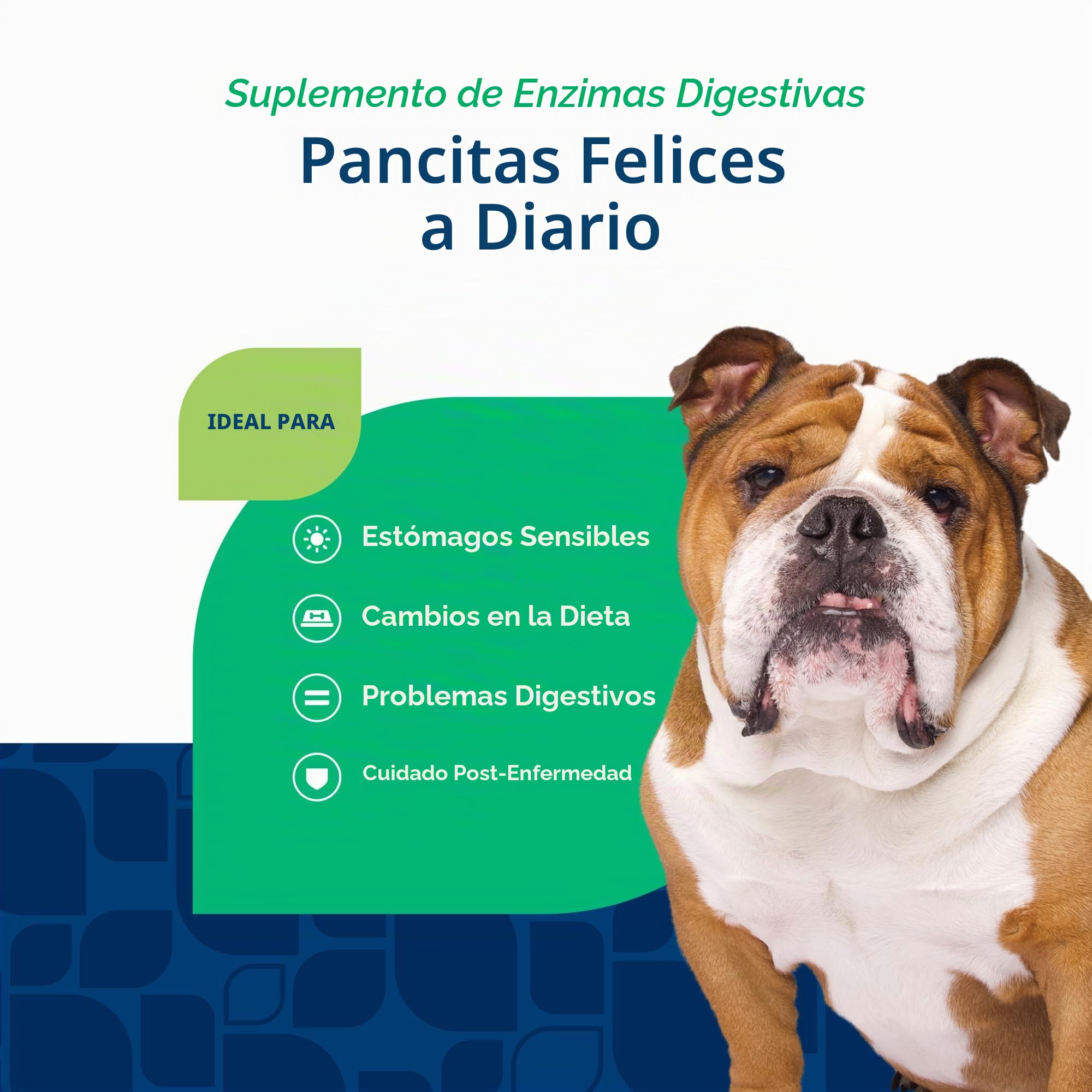 NaturVet – Enzimas digestivas – Además de probióticos y prebióticos – Ayuda a apoyar el Cambio de la Dieta y un tracto digestivo Saludable – para Perros y Gatos (masticables Suaves, 120 Unidades)
