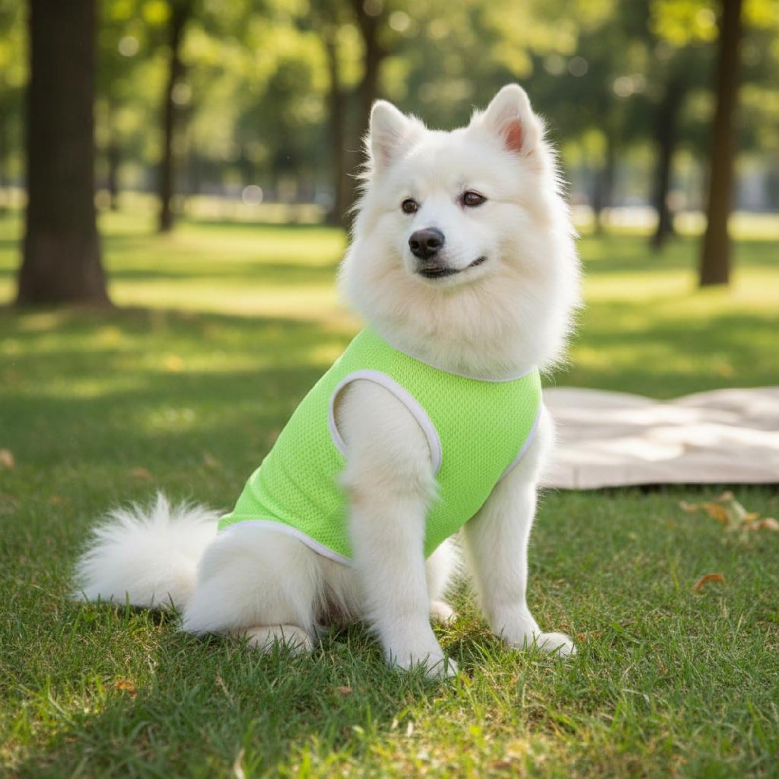 Baoblaze Gilet Industriale Canino Maglietta Cane Canotta Cani Pettorina Leggera in Tessuto a Rete Che Favorisce Ventilazione E Riduce Sporco da Esterno Adatto, Array, Verde Fluorescente, XL