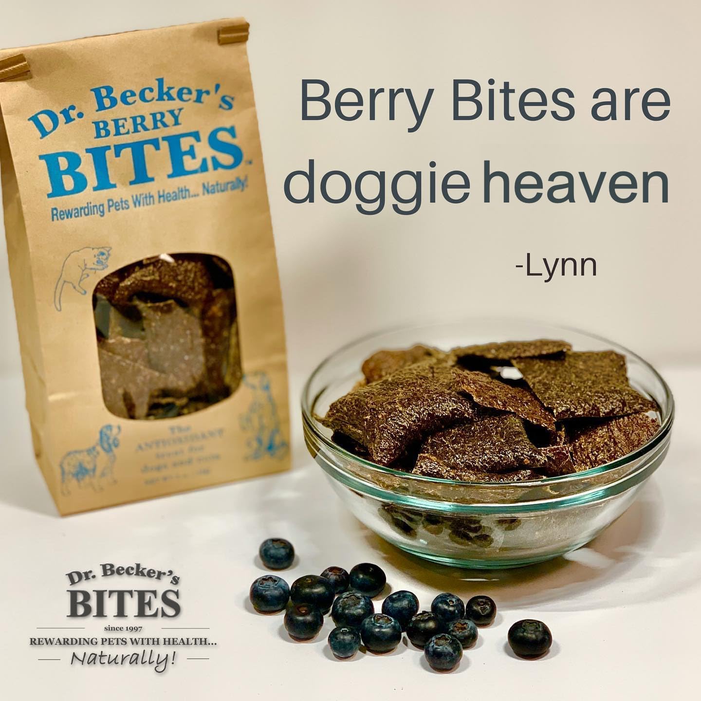 Dr. Becker's Berry Bites | Made from Acai Berry, Bilberry, Pomegranate, Blueberry | Grain Free Antioxidant Liver Training Treats for Dogs & Cats, 5 oz (Pack of 3)