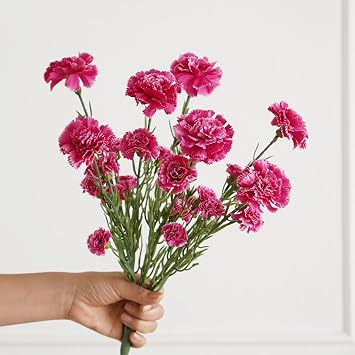 Artificial Silk Carnations Bouquet 43cm with Stems for Wedding Home Garden Decoration Red White Rose-Red(light pink)