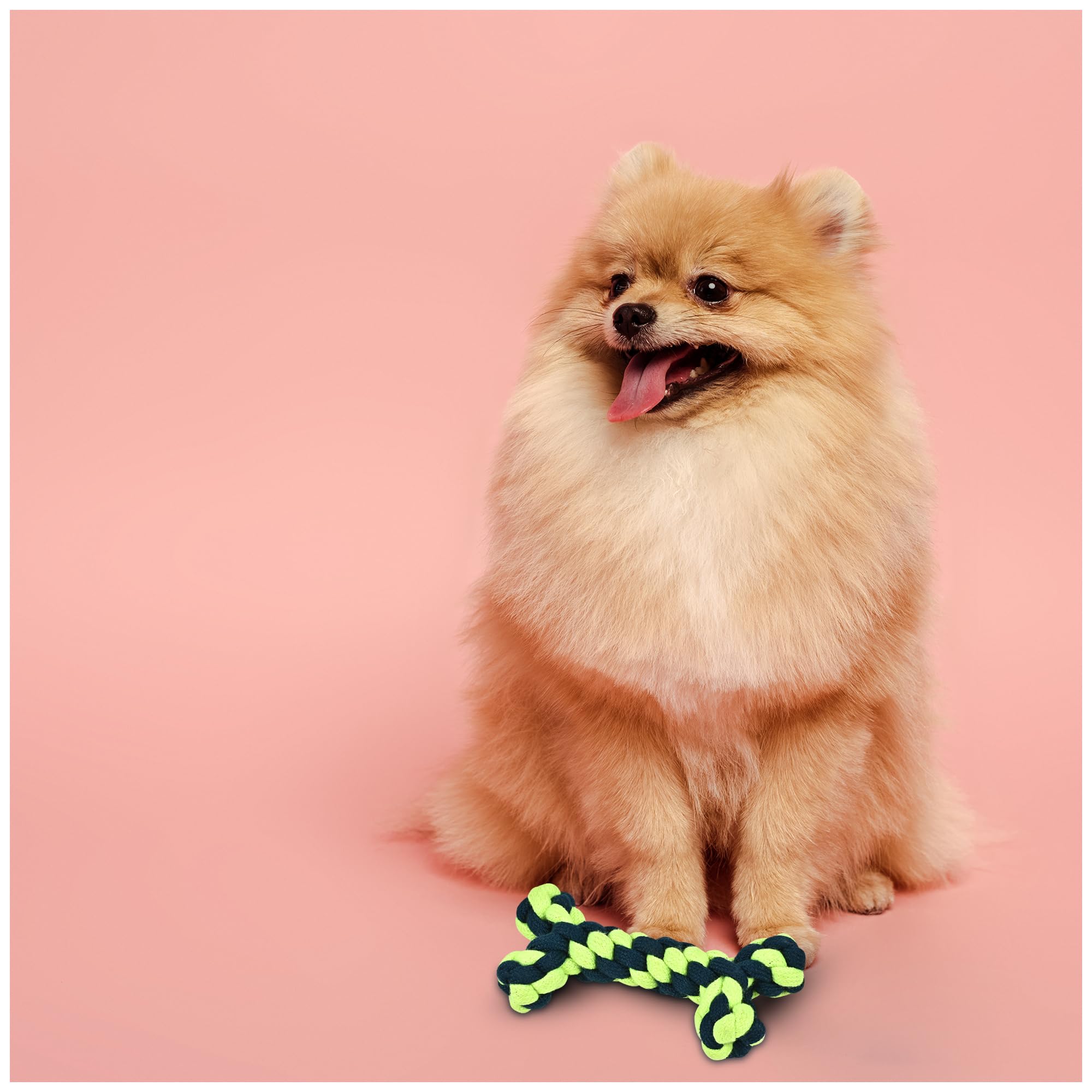 See full amazon price history chart for POLKA Cute Bone Shape Rope Braid Dog Toy, Pets Interactive Chew Toys, Teething Toys for Aggressive Small Dogs & Cats, Durable & Safe to Use Washable Cotton Rope for Dogs, 16cm POLKA Cute Bone Shape Rope Braid Dog Toy, Pets Interactive Chew Toys, Teething Toys for Aggressive Small Dogs & Cats, Durable & Safe to Use Washable Cotton Rope for Dogs, 16cm (B0CNPVJC4B) Amazon Price History, Amazon Price Tracker