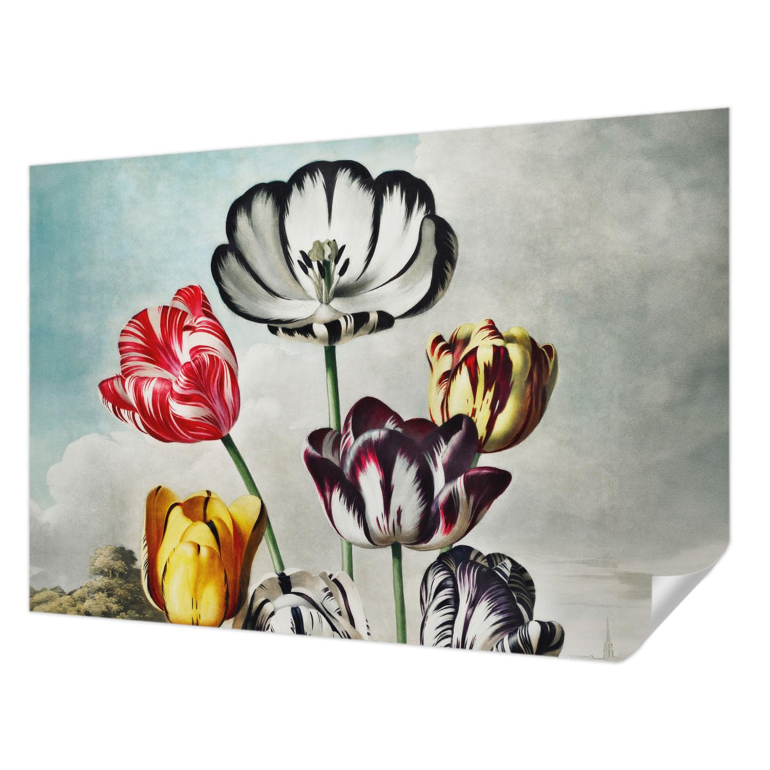 Papel pintado autocolante de tulipanes para un dormitorio acogedor y moderno