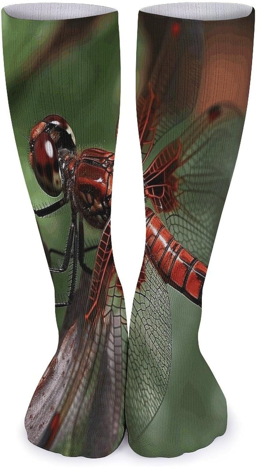 5 Pairs Knee High Socks Red Dragonfly Long Tube Boot Seamless Toe