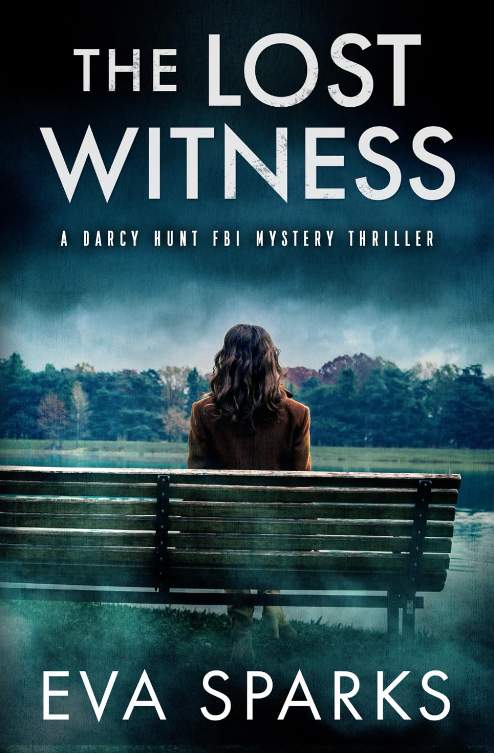 The Lost Witness (Darcy Hunt FBI Mystery Suspense Thriller)