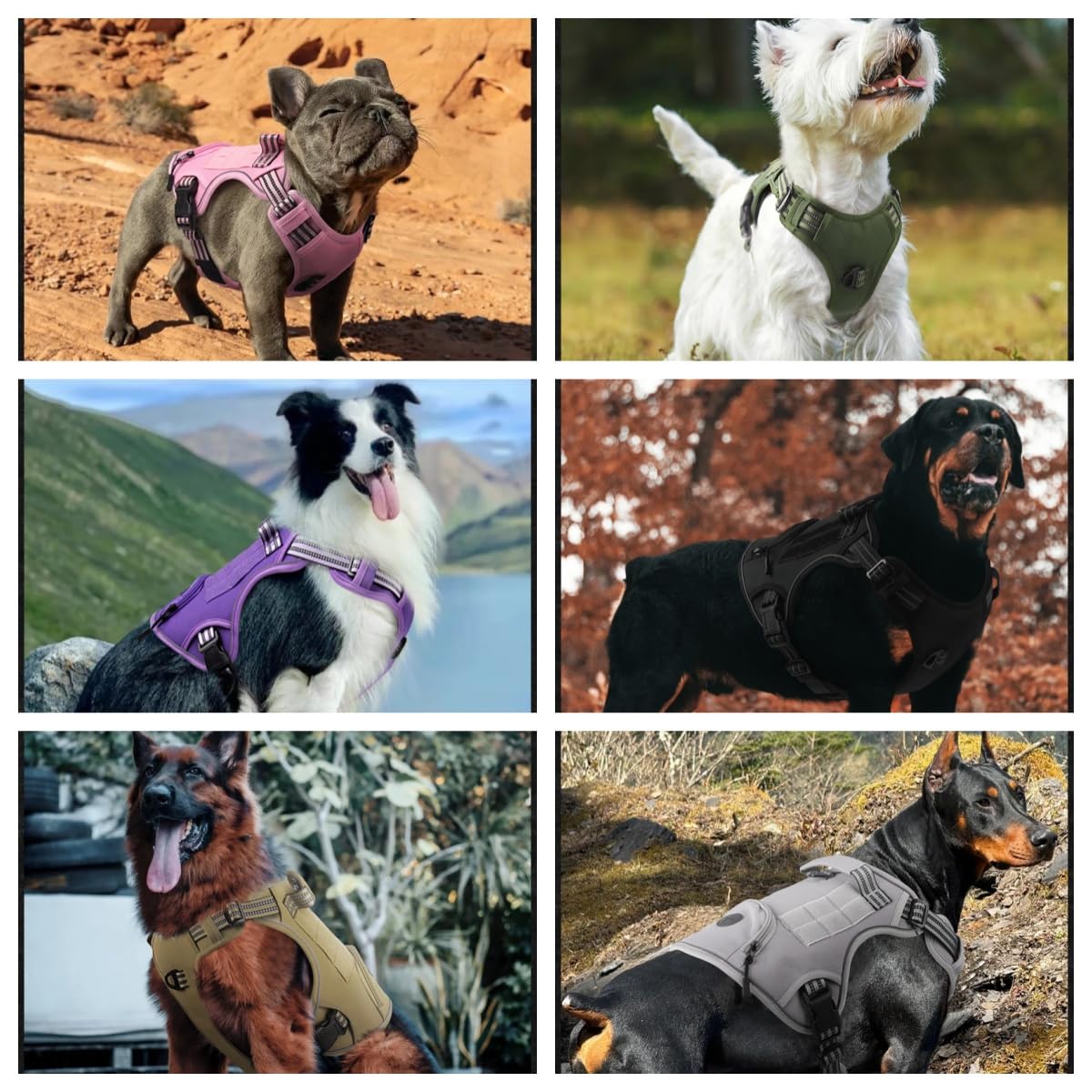 Arnes para Perro, Arnés Antitirones Ajustable con Reflectante y Asa de Control, Transpirable Arneses Chaleco para Perro Grande Mediano Pequeño (Caqui, S)
