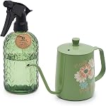OFFIDIX Watering Can for Indoor Plants,Long Spout Metal Stainless Steel 21 oz Watering Can with 14 oz Glass Plant Mister Spray Bottle for Plant Bonsai