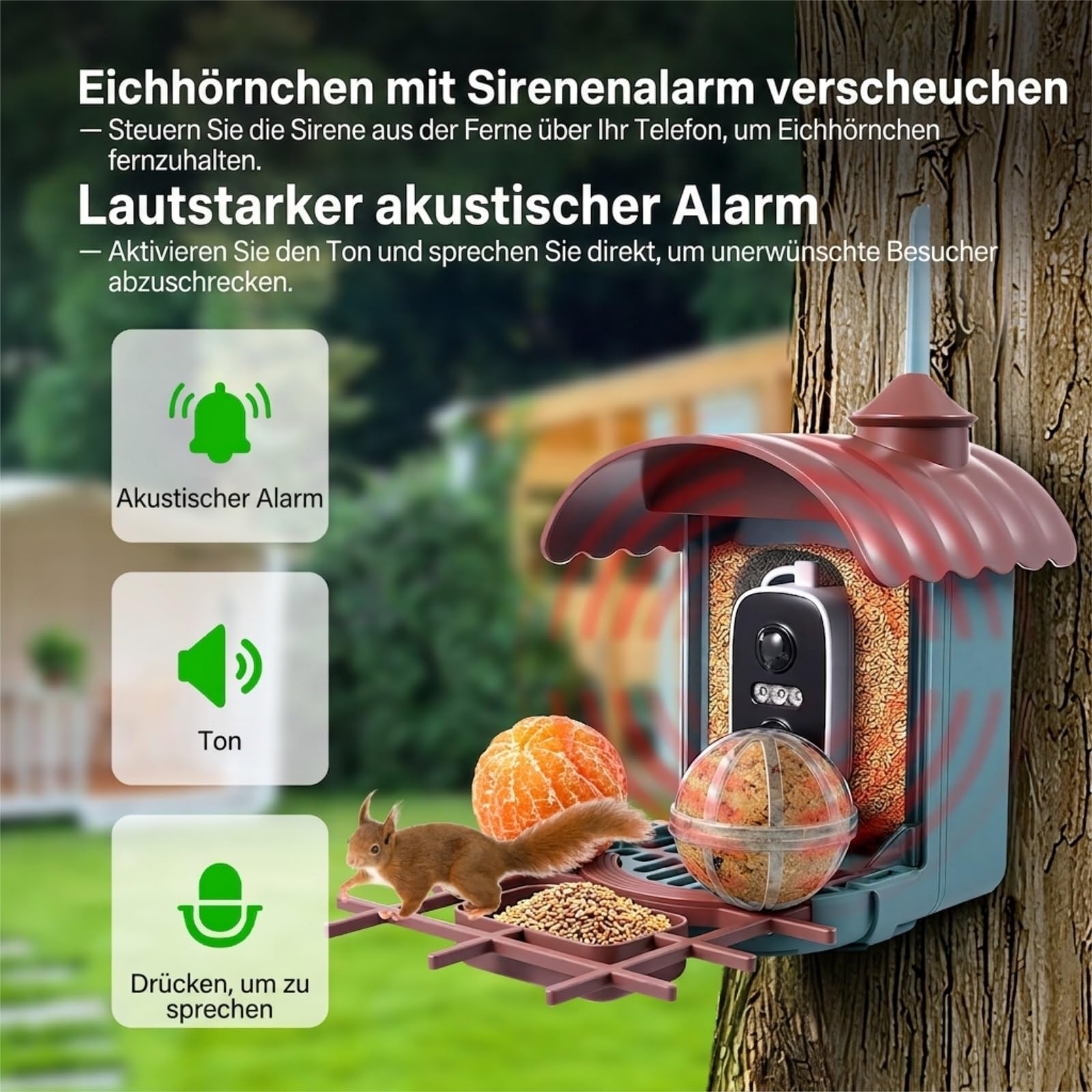 Vogelhaus mit 4MP Kamera Vogelfutterhaus Solar Vogelfutterspender & Futterstelle: Video/Fotoaufnahme, KI Identifizierung, Bewegungserkennung, Sofortiger Benachrichtigung, Nachtsicht, 2.4GHz WLAN