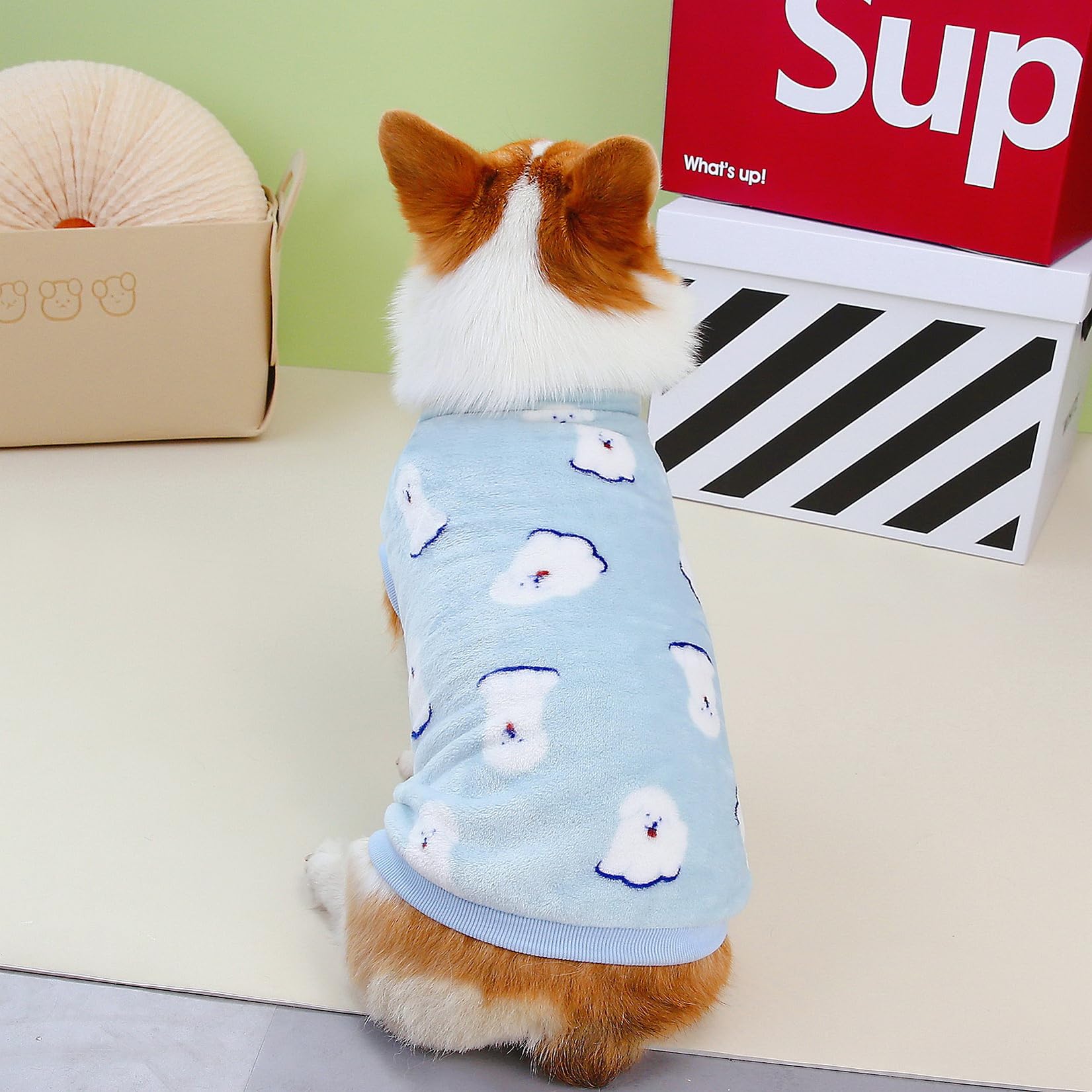 冬用犬服 暖かいヨーキー 小型犬 パーカー ソフトファー 子犬 ペット服 楽天市場】【全品10%オフ！8日20:00〜9日01:59迄】フード付き