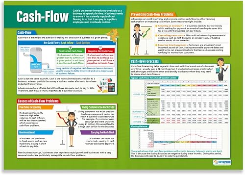 Póster de negocios de flujo de efectivo, laminado, 33 x 23.5 pulgadas, carteles educativos para la escuela y el aula