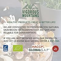 Vista 6 de VIGOROUS MOUNTAINS Granos de Champiñones Asados Variados para Cocinar Incluyendo Porcini Shiitakes Champiñones Ostras Champiñones Culinarios 108g