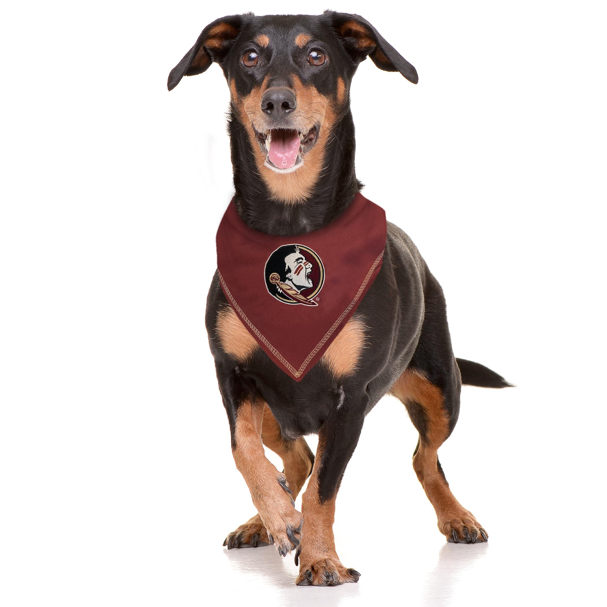 Loyola Chicago Ramblers Wordmark Large Grommet Banner Flag