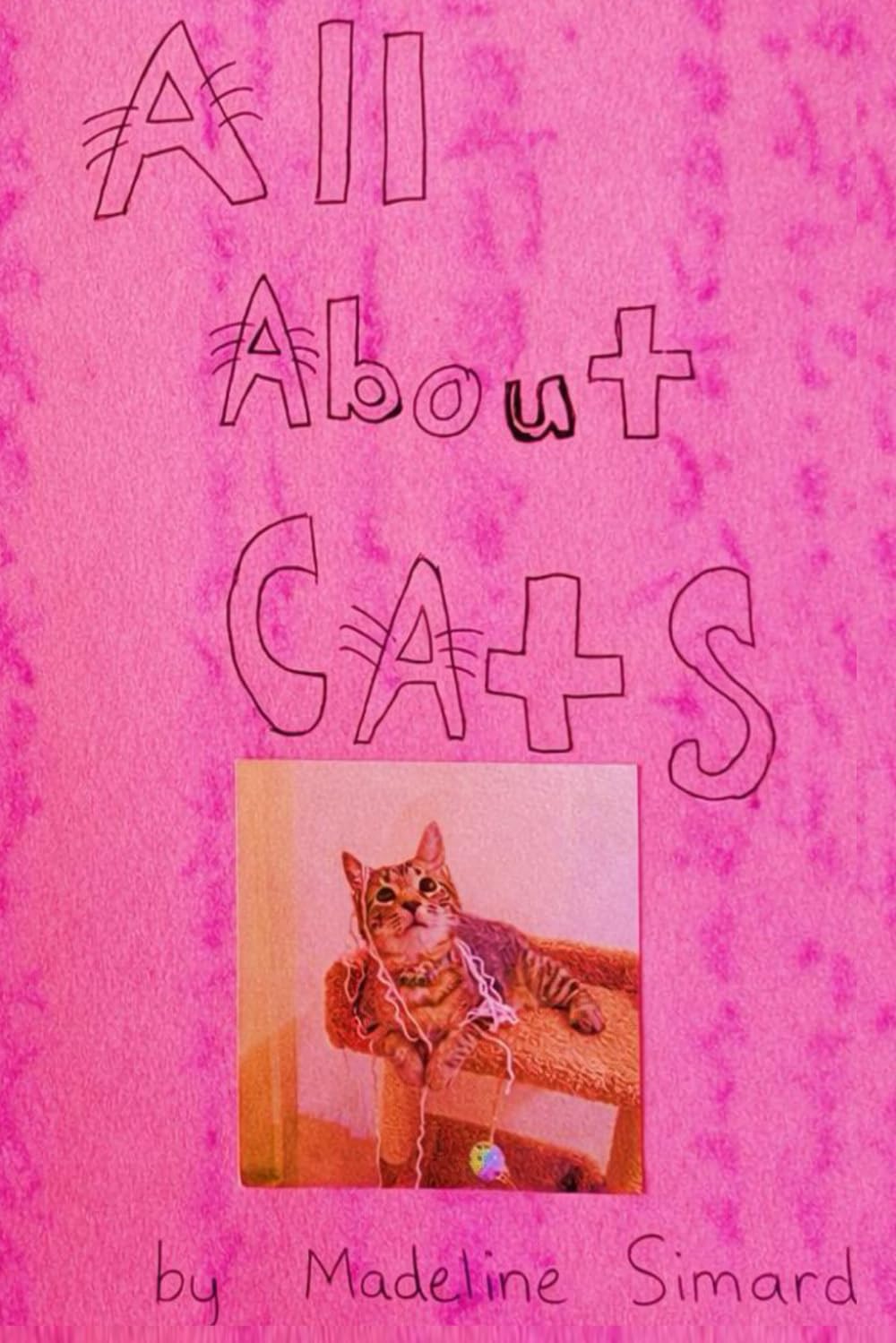 All About Cats