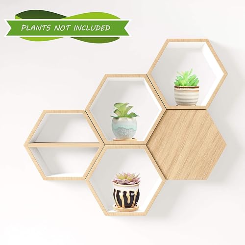 Miniatura 5 de 6 macetas de cerámica para suculentas con agujeros de drenaje, 6 bandejas de bambú, recipientes pequeños para plantas, regalo ideal para decorar el
