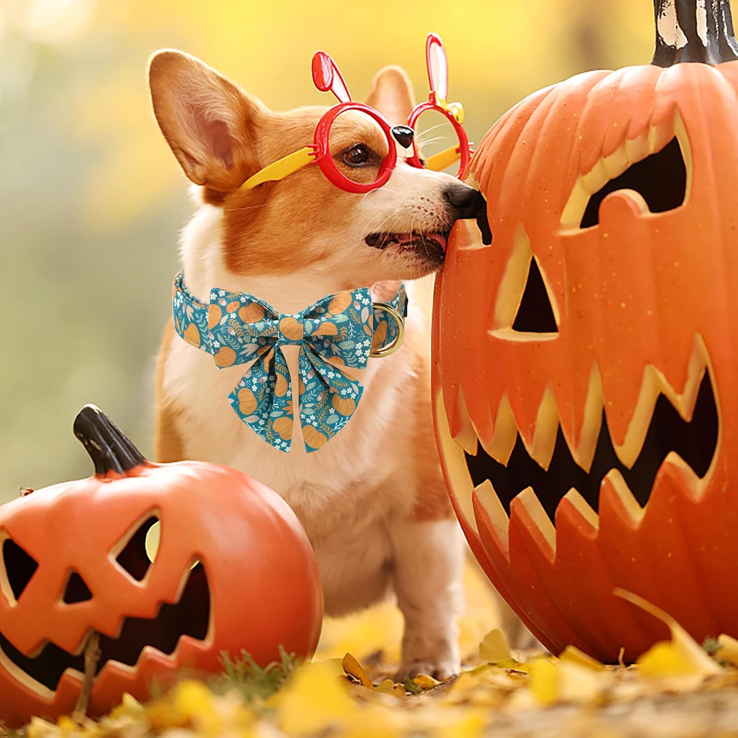 Unique style paws Cartoon Dog Collar with Bowtie Autumn Halloween Puppy Collar with Green Pumpkin for Small Medium Large Boys Girls Dogs image 4