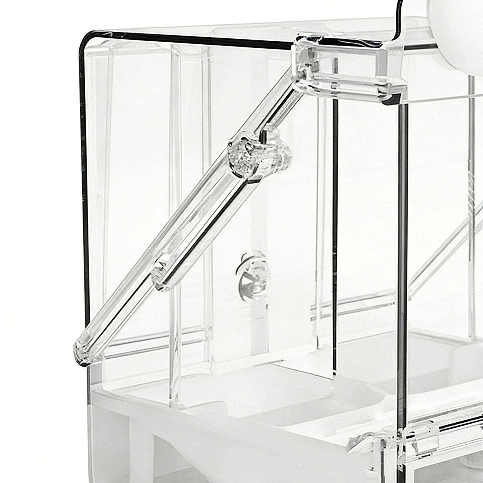 Bain pour Cage à Oiseaux Mangeoire Transparent