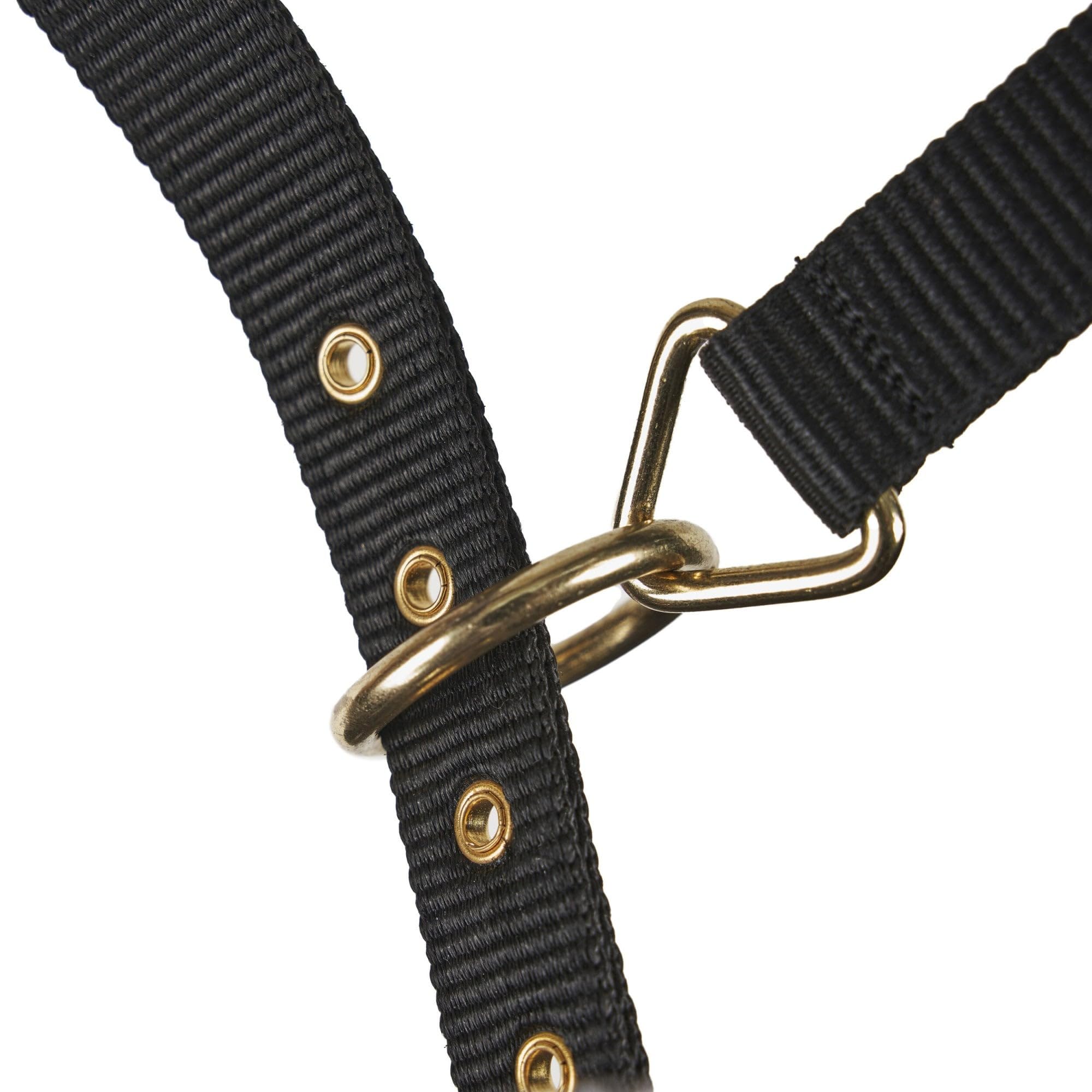 View 4