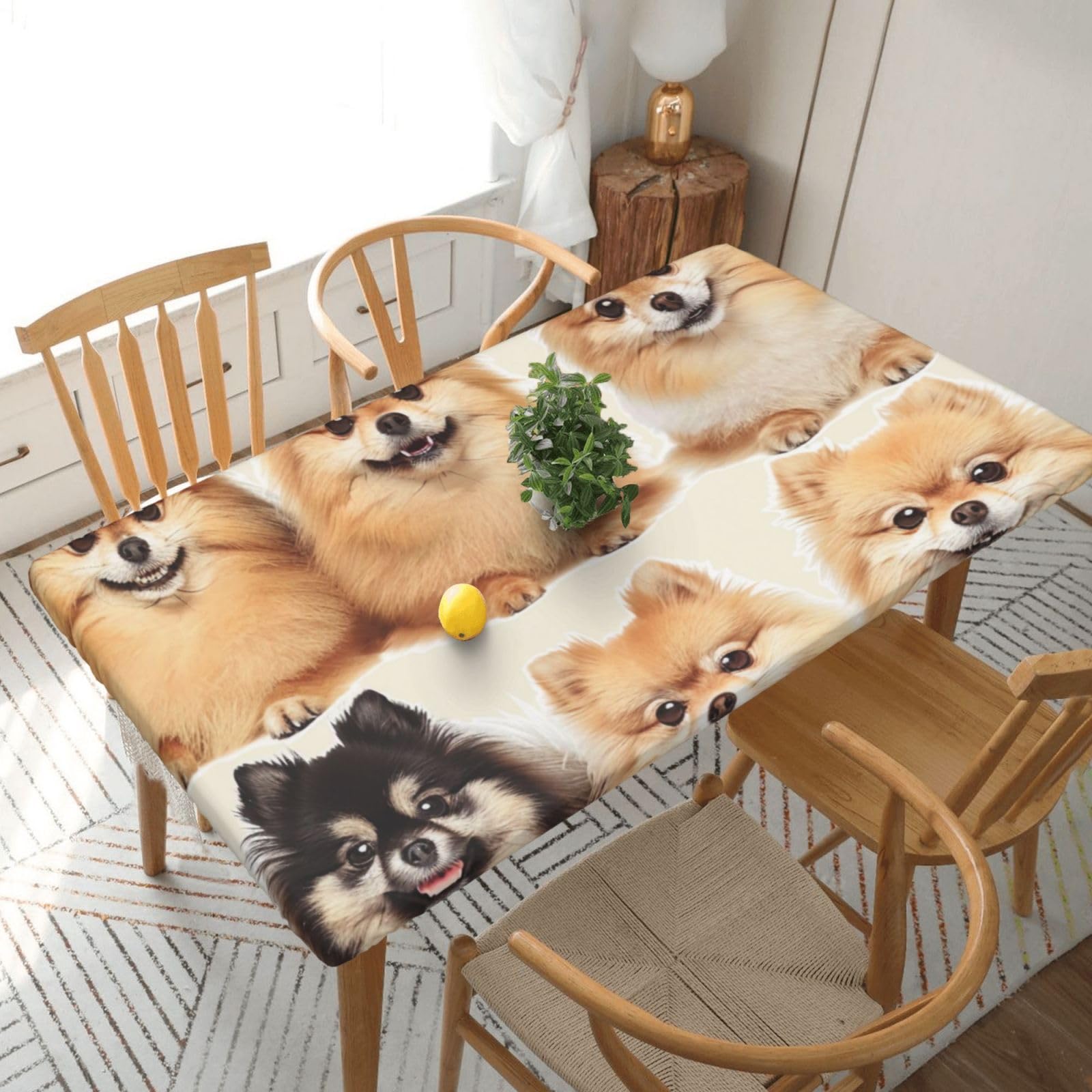 WPKJU Pomeranians Pattern Printed Tablecloths 5ft Rectangular Table Covers Washable Polyester Decorative Table Cloth for Dining Table Picnic Wedding