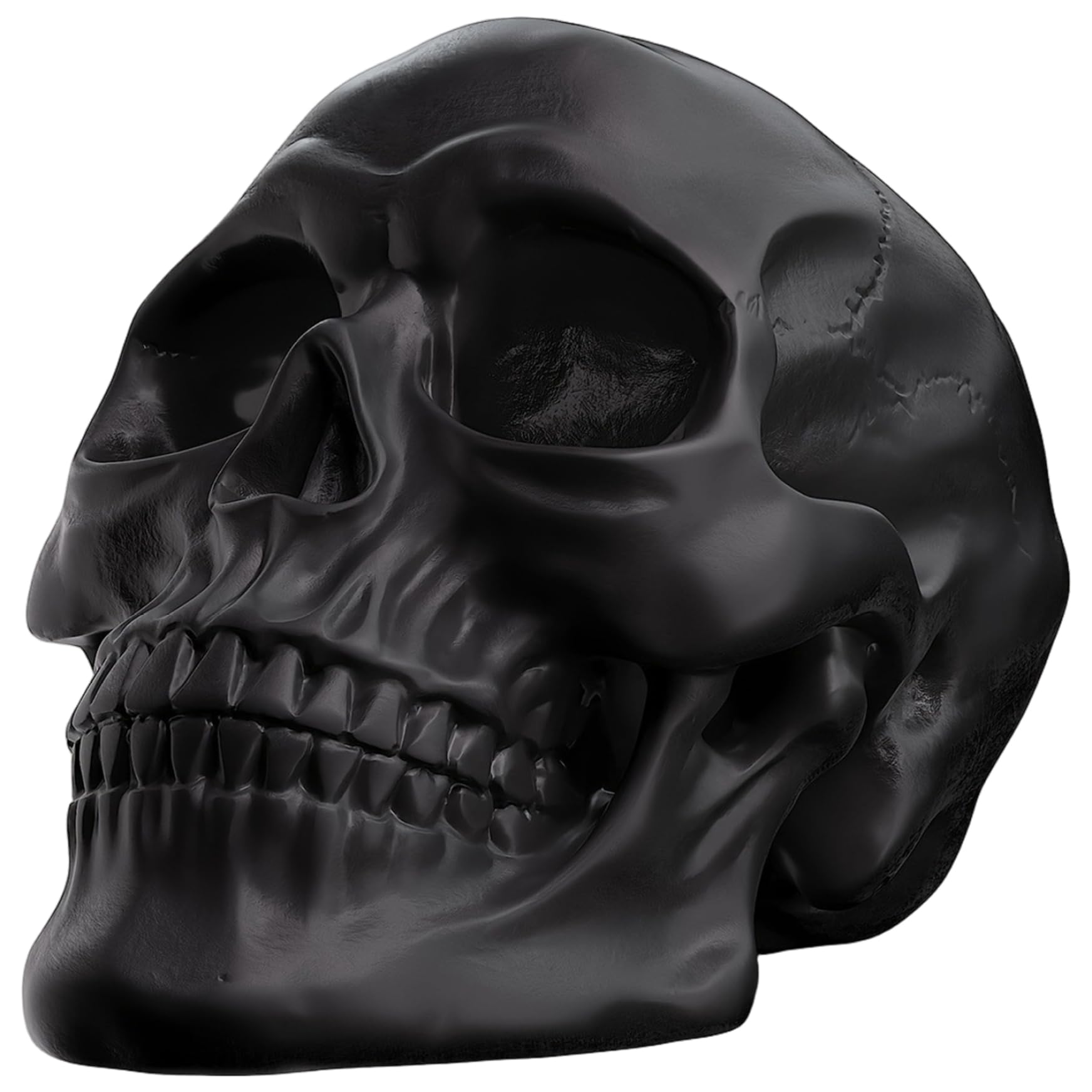 Striegro Skull Ornament Black Resin Skeleton Head, 6in..