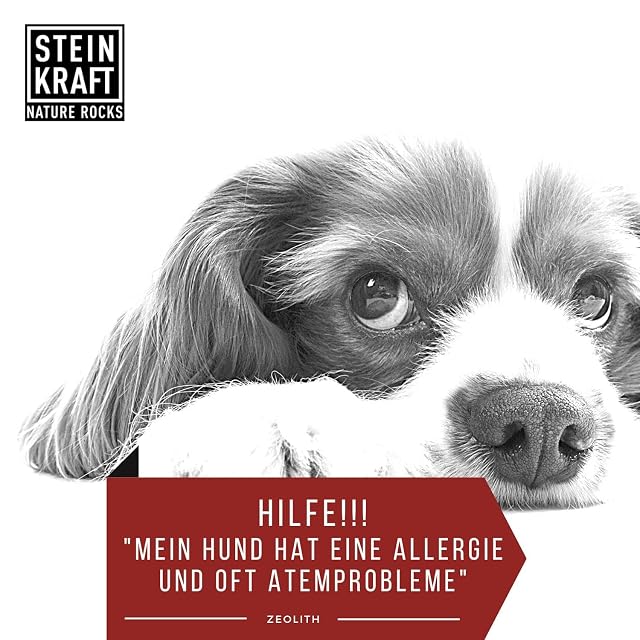 Foto 7 de 8 de STEINKRAFT Zeolita en polvo para perro, 450 g, dogkraft, clinoptilolita 14 μm, para diarrea y cambio de pelaje