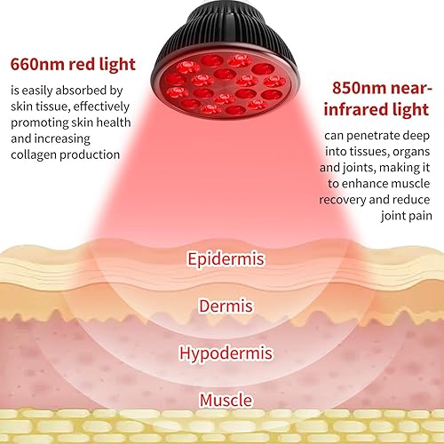 Miniatura 2 de Bombilla de Terapia de Luz Roja, Terapia de Luz Roja para Uso Corporal y Facial, 18 LEDs de 660nm Rojo y 850nm Infrarrojo Cercano, Lámpara de
