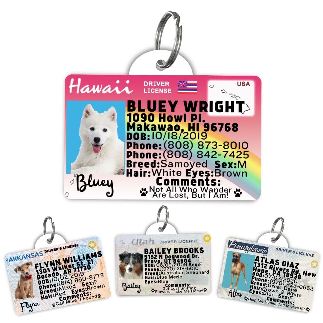 Driver License Custom Dog Tag for Pets and Wallet Card - Dog Tags for Dogs - Dog ID Tag - Personalized Dog ID Tags - Cat ID Tags - Pet ID Tags for Cats - Personalized Pet ID Tags (Hawaii, Tag)