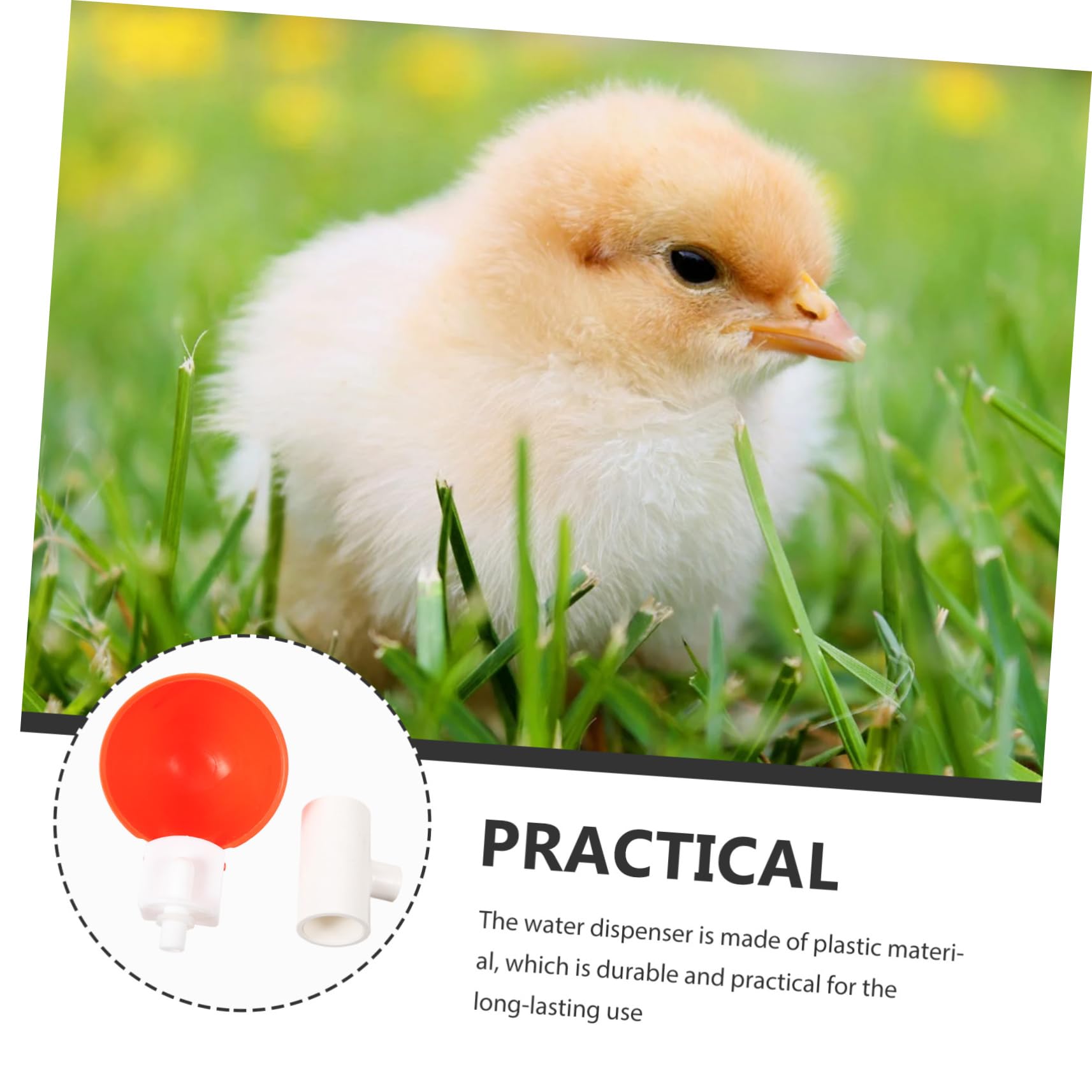 Happyyami 5Sets Automatic Chicken Water Cups Durable Poultry Drinking Bowls Easy to Carry for Chickens Parrots Doves Continuous Hydration for Birds