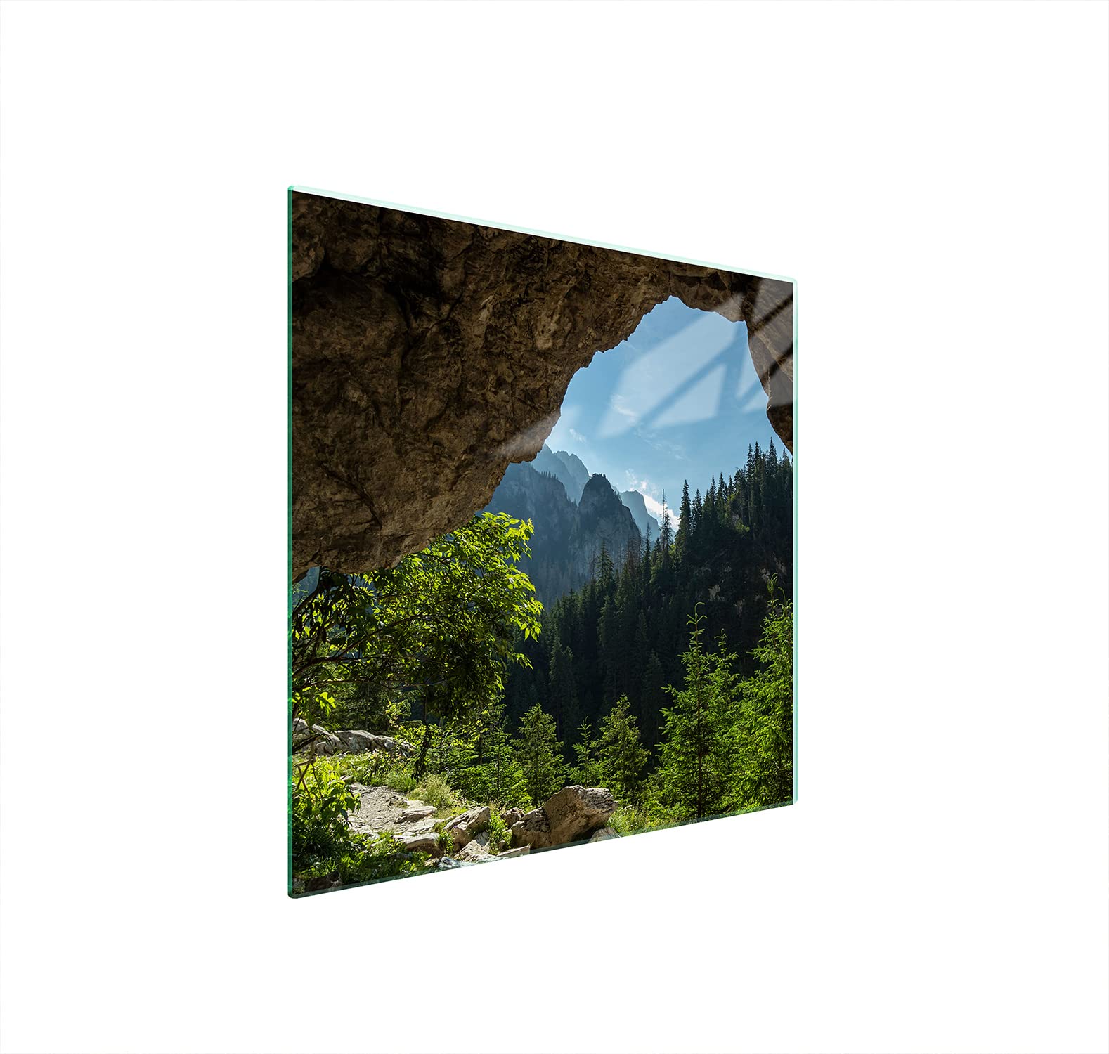Placa protectora de vitrocerámica 50 x 52 cm 1 pieza cocina eléctrica universal para inducción protección contra salpicaduras tabla de cortar de vidrio templado como decoración, ÁRBOLES
