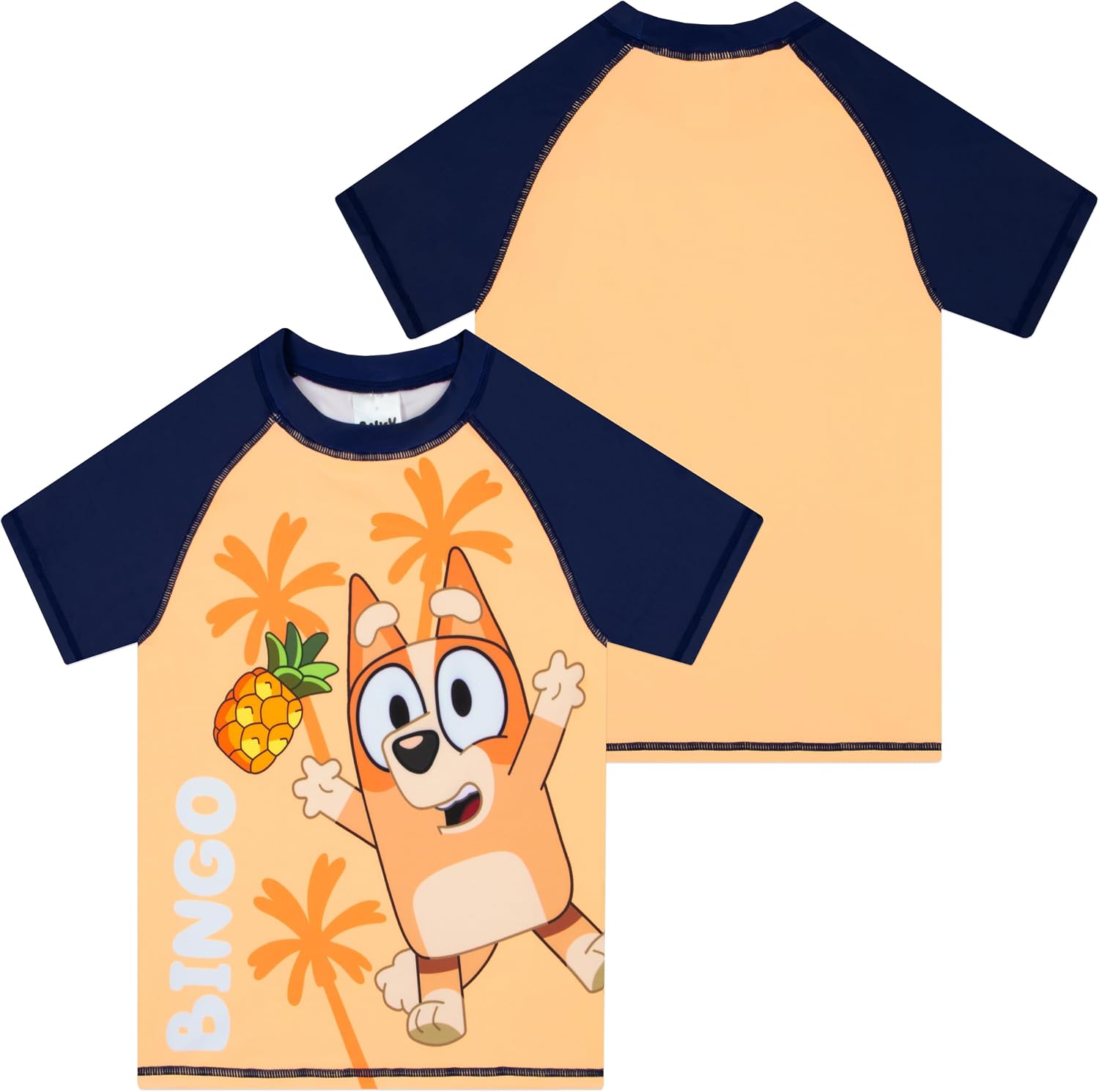 Bluey Boys Swim Set, Bingo Boys Swim Trunks and Rash Guard, Kids Swimwear