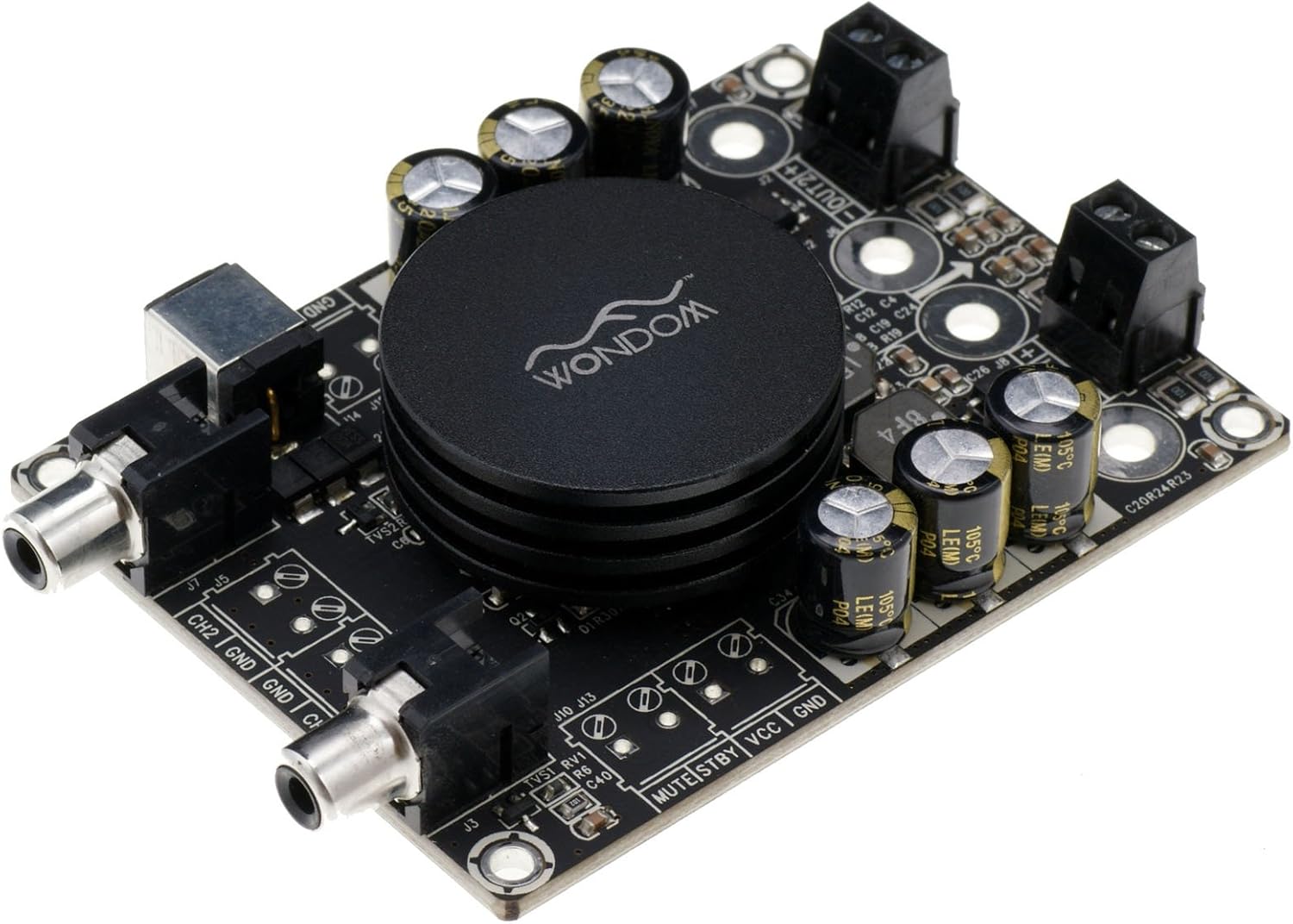 Angolat view of amplifier board showing input and output terminals