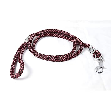 Loyal Buddy Dog Leash Regiment Large with Handle - Heavy Duty Nylon Comfortable Leash for Dog Walks and Leash Training 56 in Long inch Wide 9MM Brown