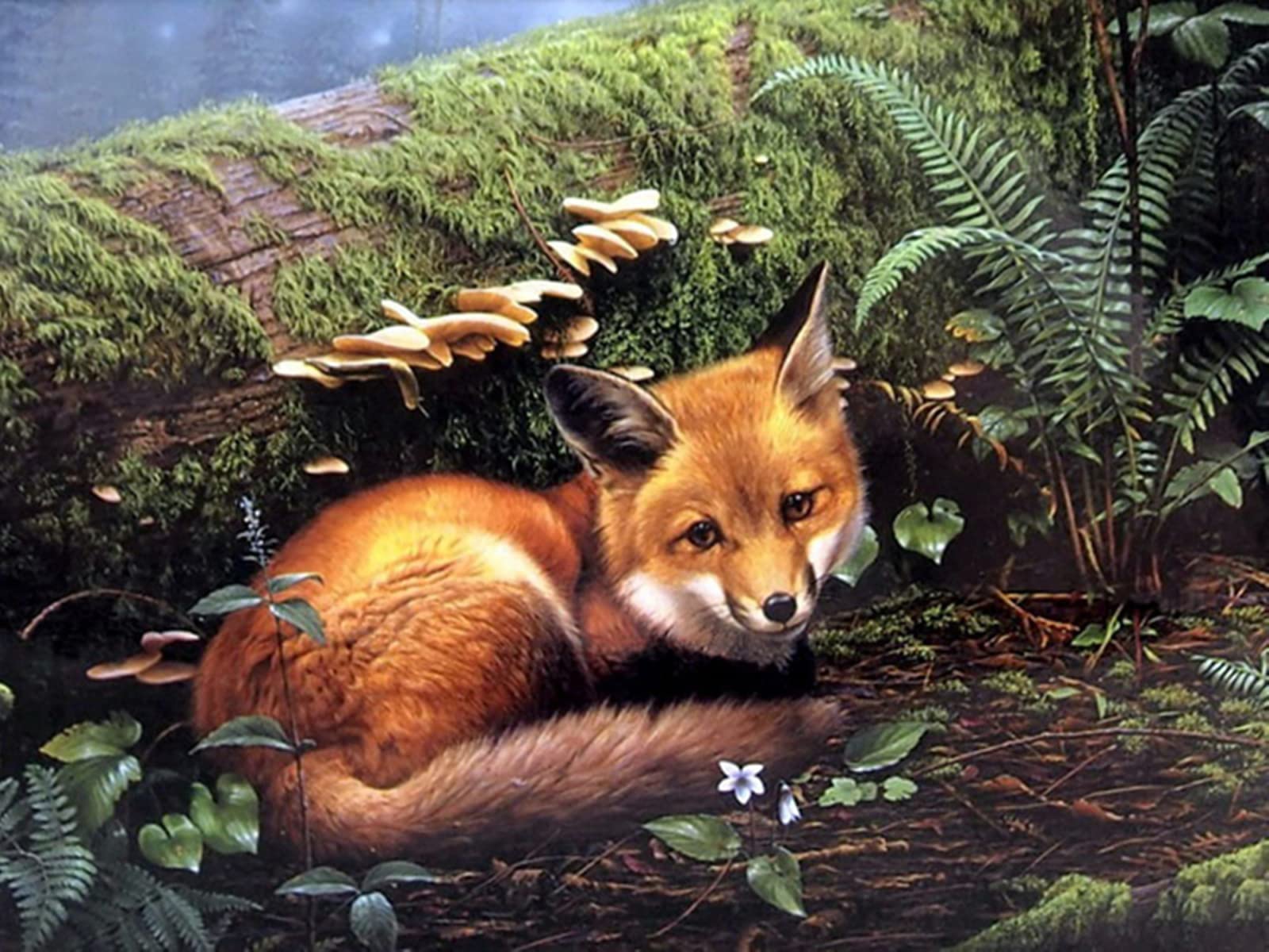 Puzzle 3D renard en bois 2000 pièces pour décoration murale