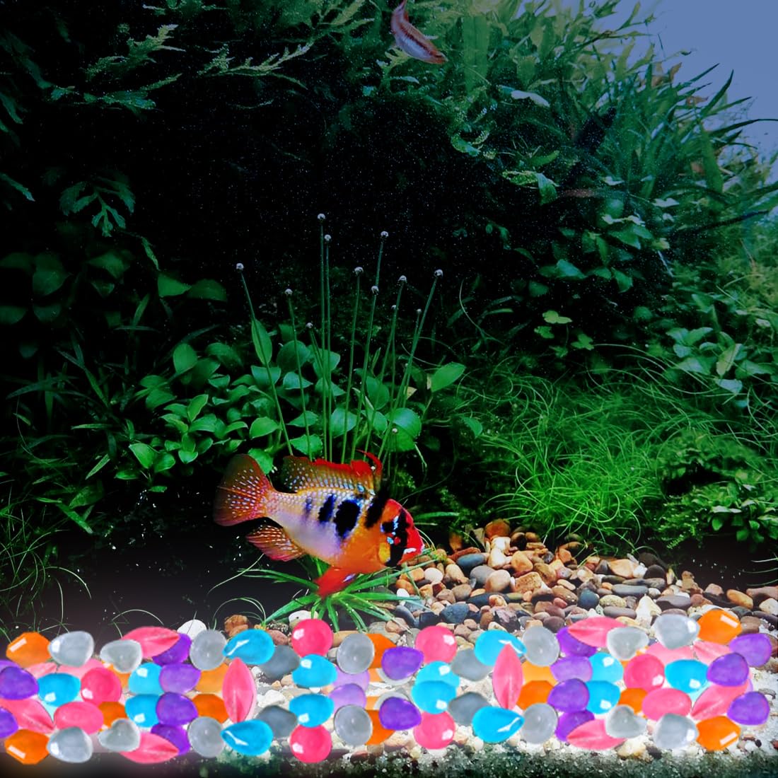 Voyyphixa 300PCS Pebbles Decorative Stones Glow Rainbow Stones Rocks Gravel Aquarium Rocks for Landscaping Pebbles Decorative Stones for Outdoor Indoor Fish Tank Garden Walkway Plant Pots (300PCS) - Image 4