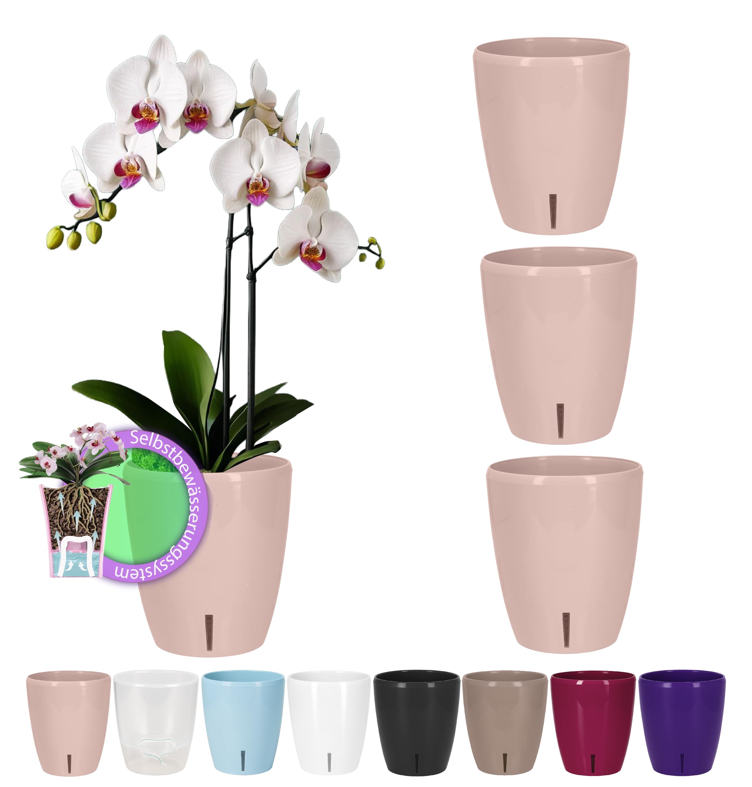 Santino Maceta para Orquídeas Ø 12cm Maceta Autorriego con Sistema de Mecha e Indicador de Nivel de Agua para Interior (Ø 12cm - 1,3L - Transparente) — view 31