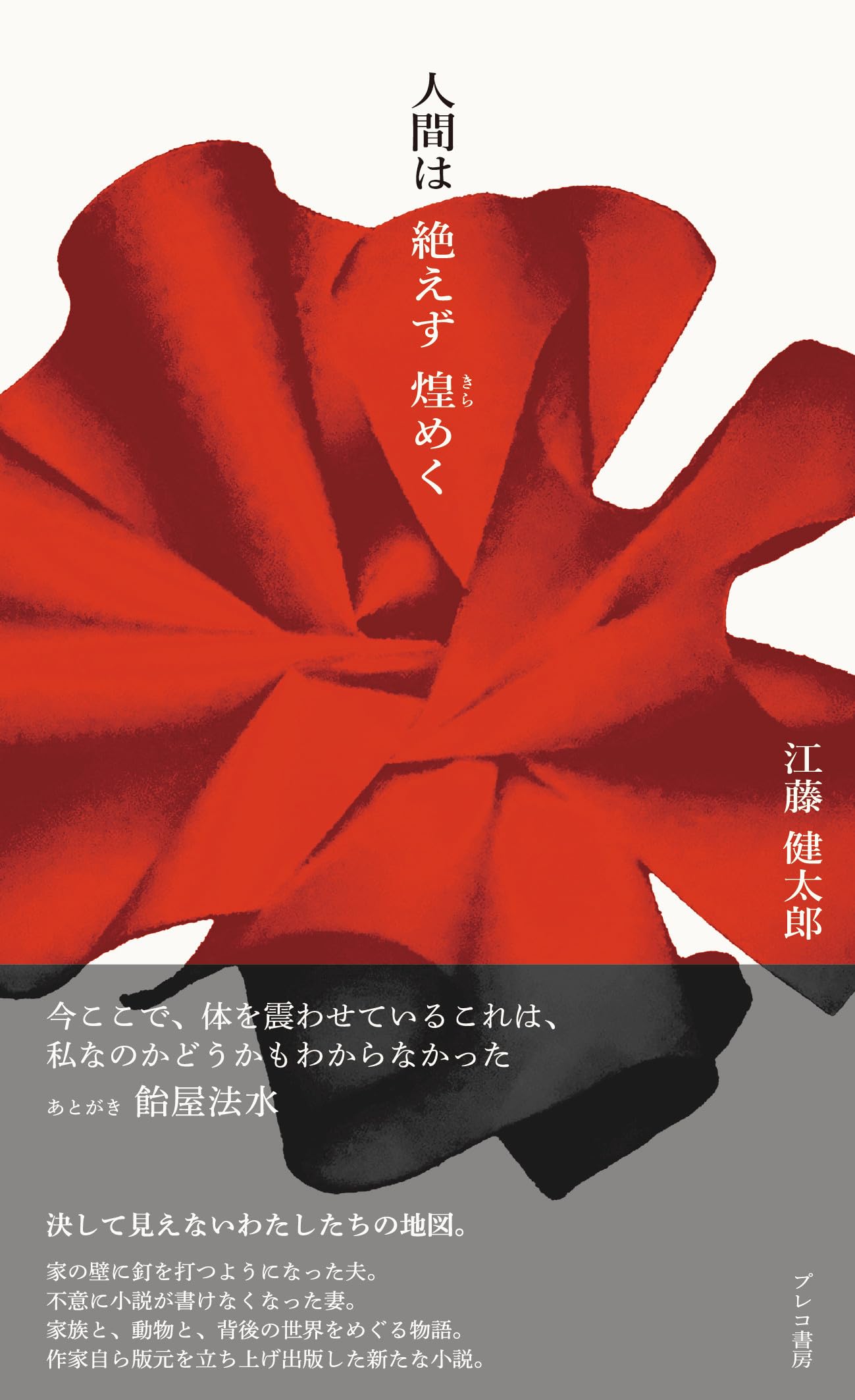Amazon.co.jp: 人間は絶えず煌めく : 江藤 健太郎, 飴屋 法水: 本