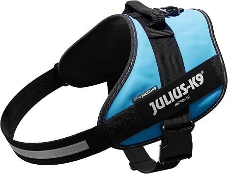 Julius-K9, 16IDC-AM-4, IDC Powerharness, Dog Harness, Size 4, Aquamarine