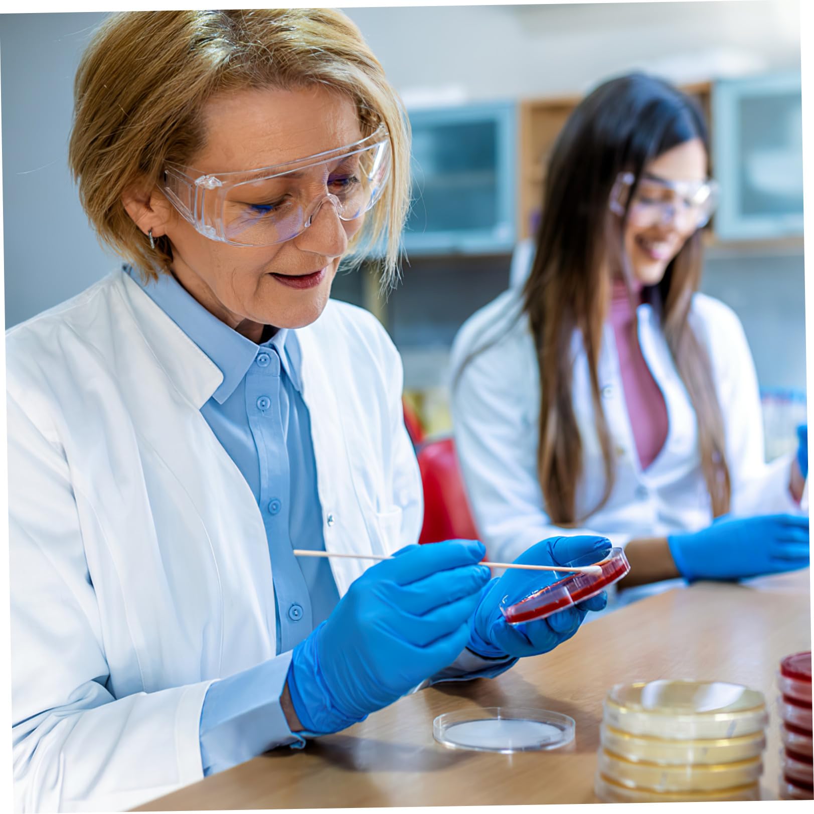 Piastre Petri con Agar 7cm, 10 Pezzi, per Coltura Microbiologica | Pronte All’uso, Strato Spesso di Agar, per Esperimenti Scientifici Stem, Decorazioni Scuola