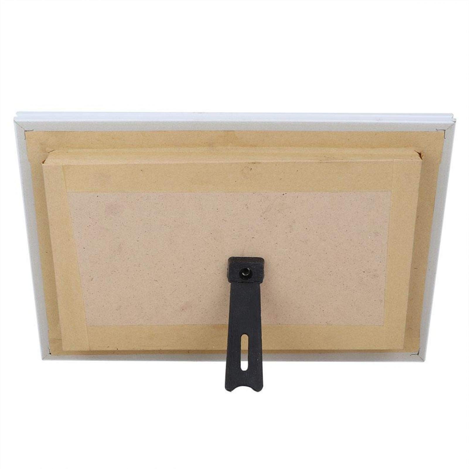 Spécimen de Papillons, spécimens de Vrais Papillons spécimen d'insecte, 5pcs Papillons pour collègues Amis(White Box)