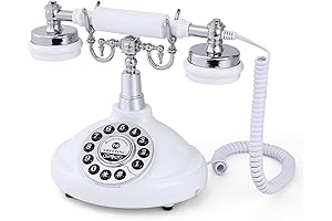 Audio Guest Book Telephone for Weddings, Parties, and Special Occasions: Personalized Audio...