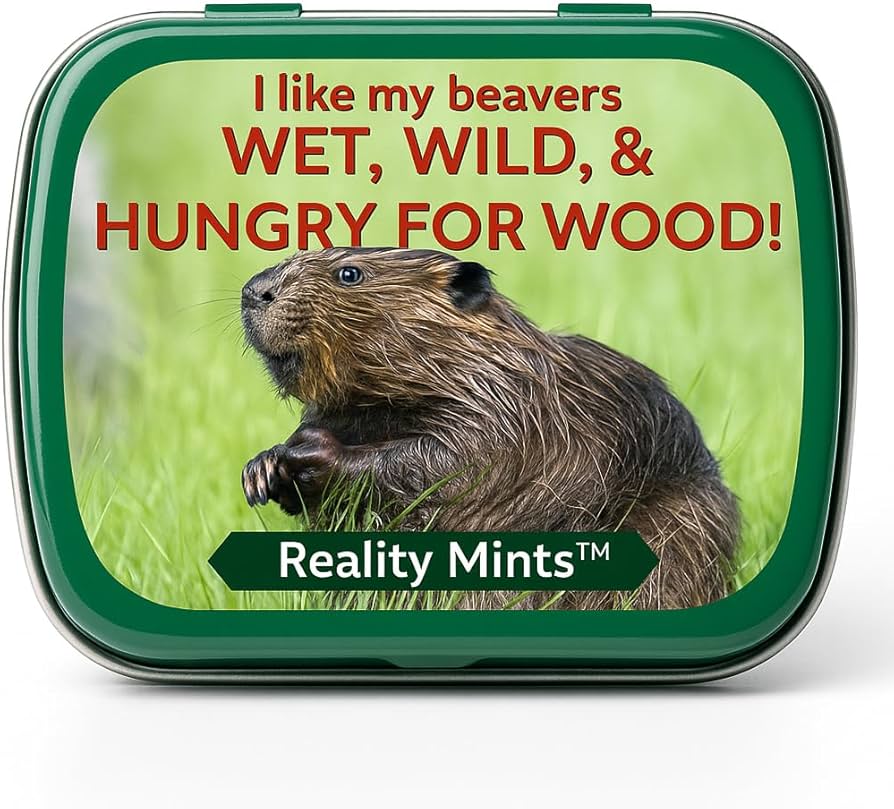 Amazon.com : I Like Beavers Mints for Friends Easter Gifts for
